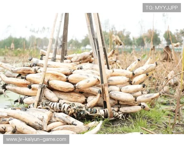 ¦ó+¡-+¦¦+--+Í«Ê¦ú¼¦++¬¢¦-ÀÁ-¥+-+Í¸